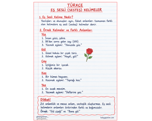 SESTEŞ KELİME DEFTER NOTU VE ETKİNLİK PAKETİ