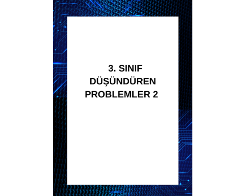 3. SINIF DÜŞÜNDÜREN PROBLEMLER 2