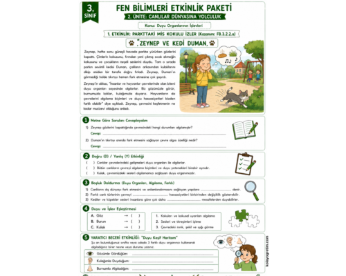 Duyu Organlarının İşlevleri Etkinlikleri 6. Hafta