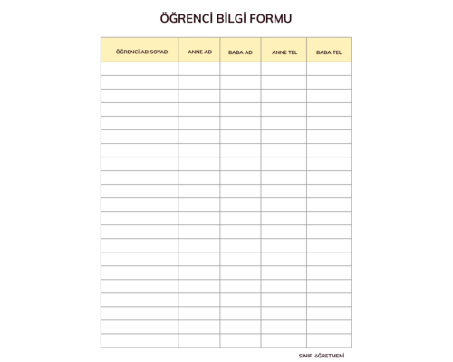 ÖĞRENCİ BİLGİ FORMU