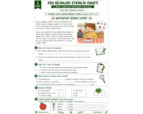 Duyu Organlarının İşlevleri Etkinlikleri 7. Hafta