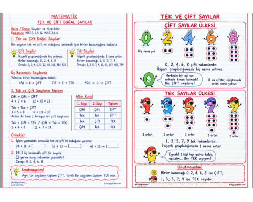 TEK -ÇİFT SAYILAR DEFTER NOTU