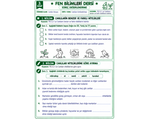 Canlıların Sınıflandırılması Süreç Değerlendirme