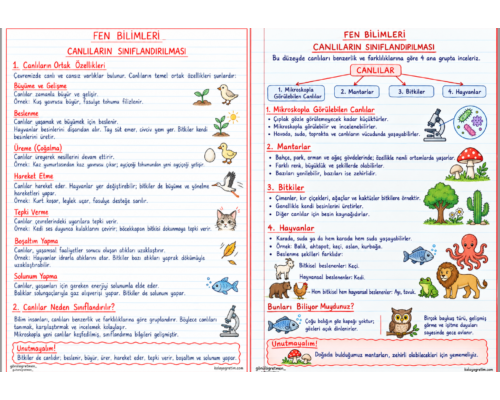 Canlıların Sınıflandırılması Defter Notu